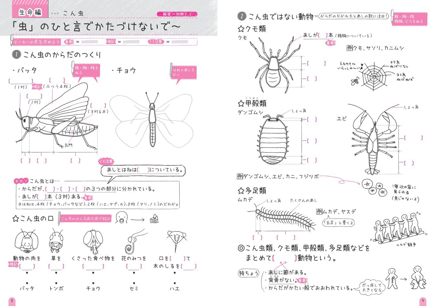 中学入試 自分でつくれるできる子ノート 理科 改訂版 旺文社