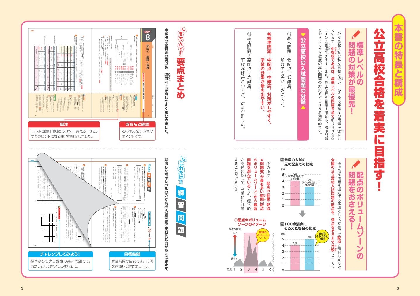 きちんとこれだけ公立高校入試対策問題集 国語 旺文社 きちんとこれだけ公立高校入試対策問題集 国語 旺文社