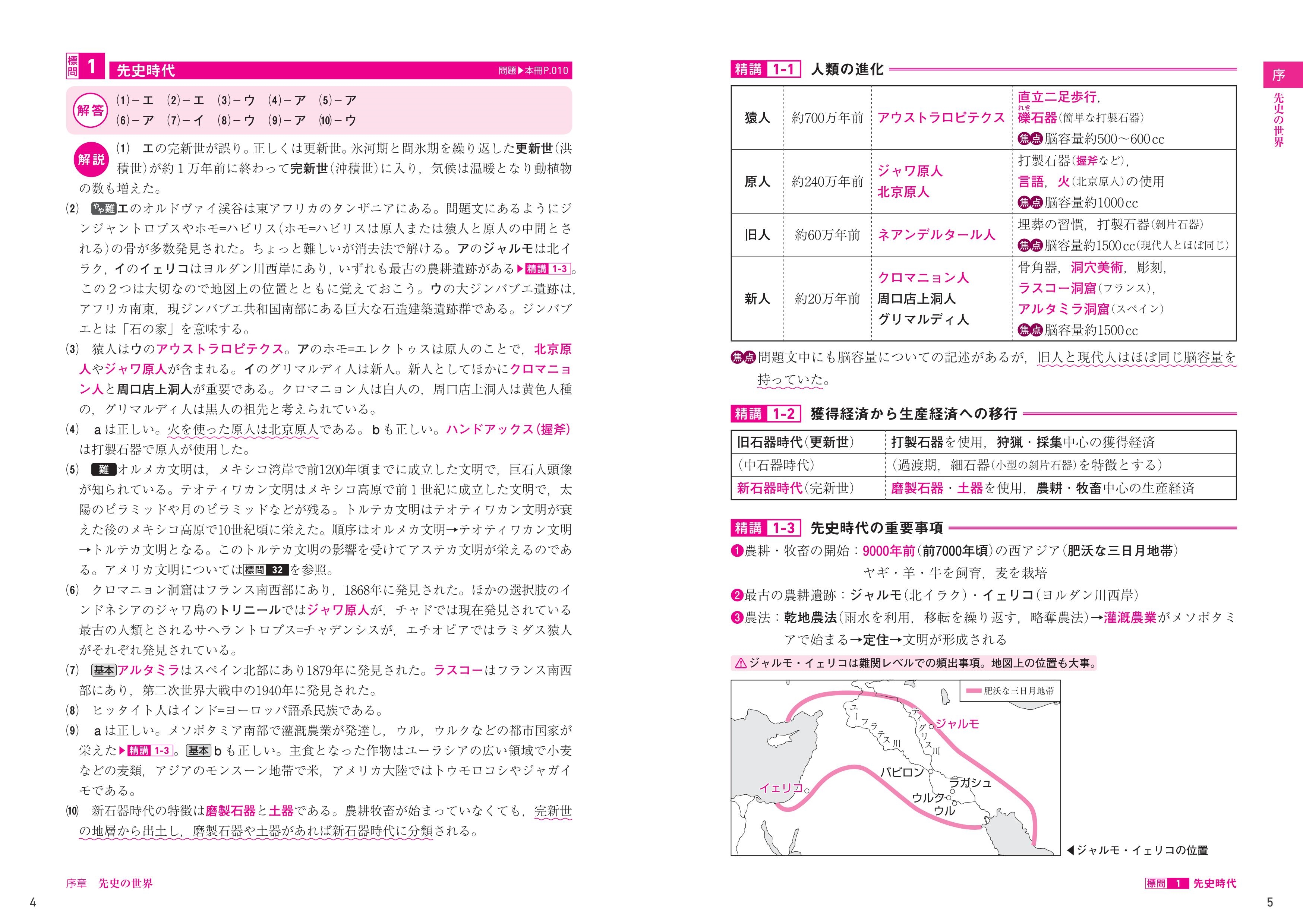 世界史 標準問題精講 五訂版 | 旺文社