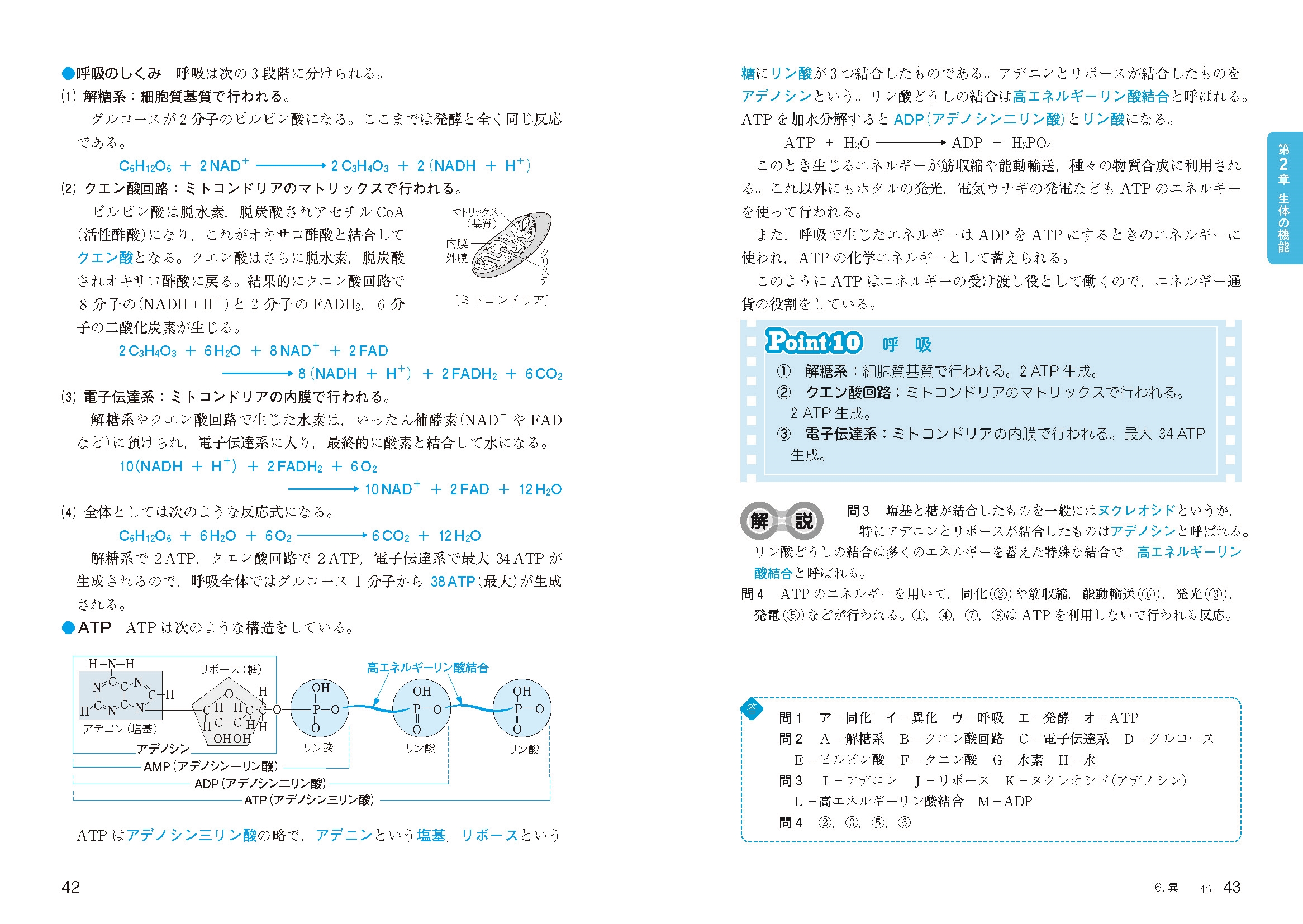 生物 生物基礎 生物 基礎問題精講 四訂版 旺文社