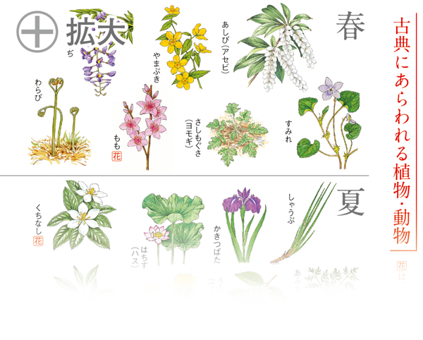 紙面見本