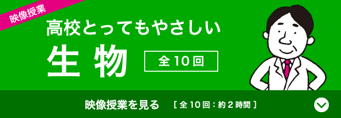 映像授業 高校とってもやさしい生物〈第10回：約2時間〉